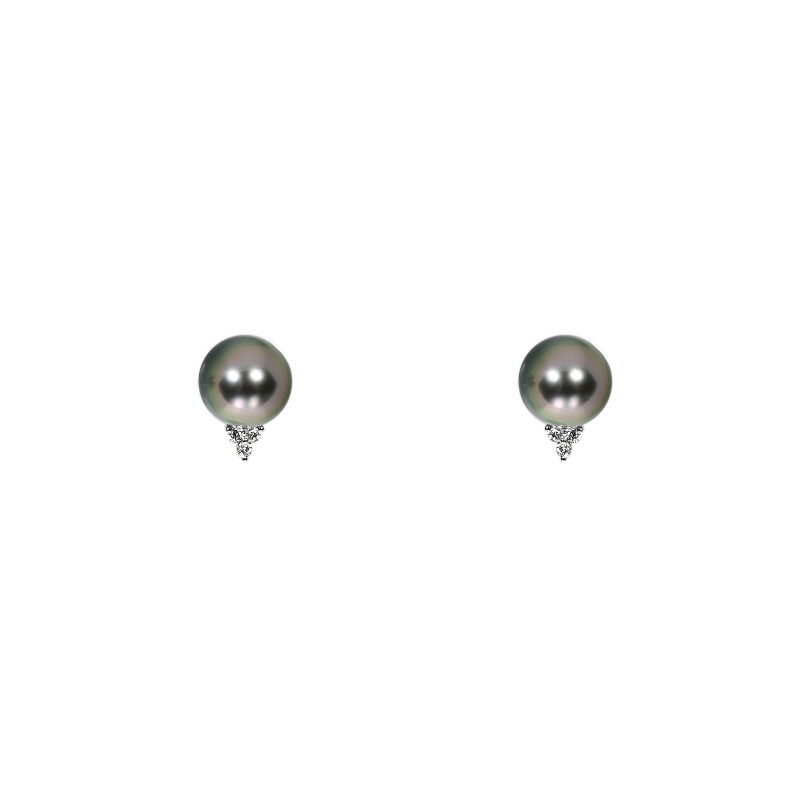 Daire Tahitian Pearl Earrings