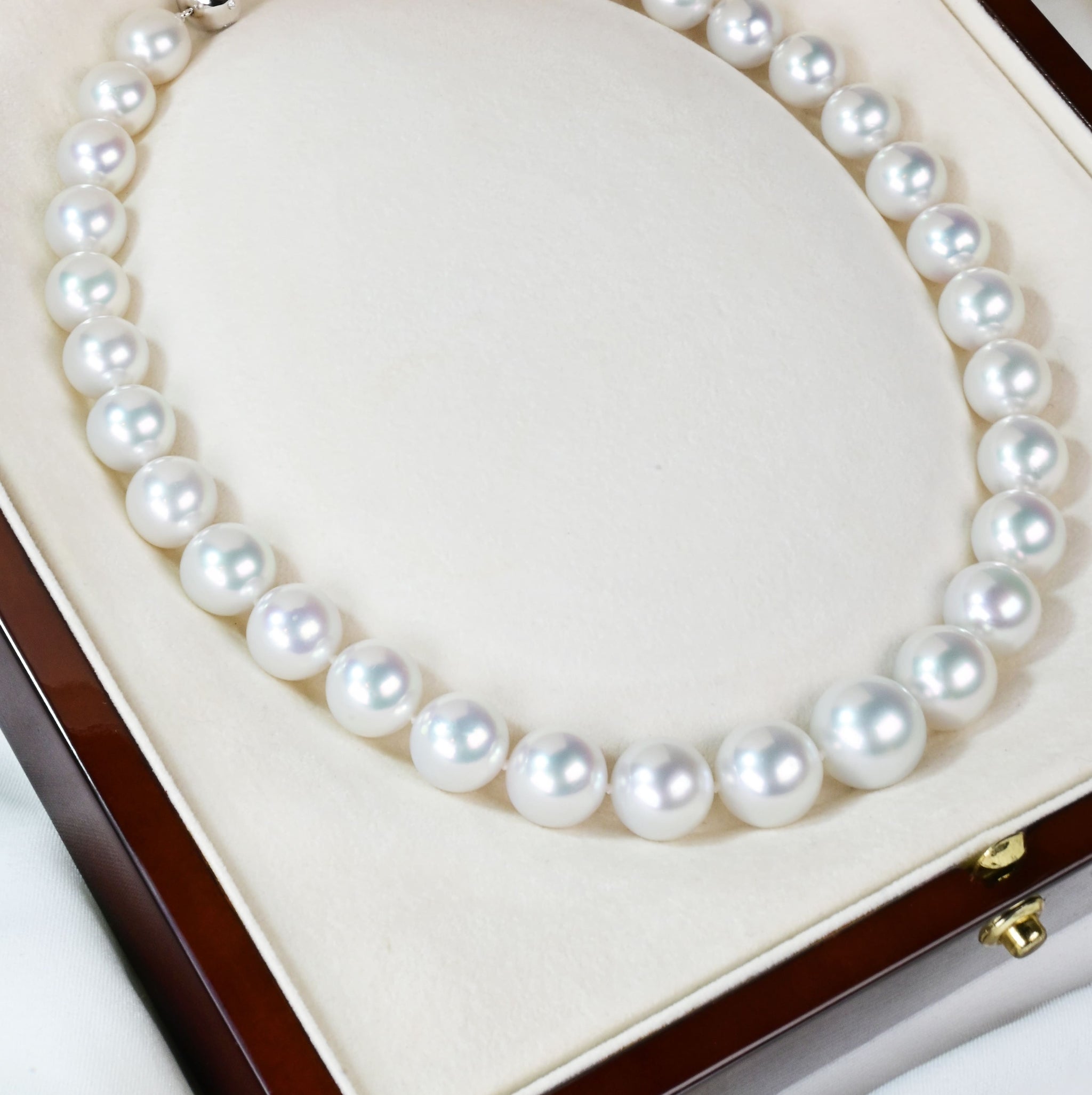 南洋珍珠項鍊 South Sea Pearl Strand