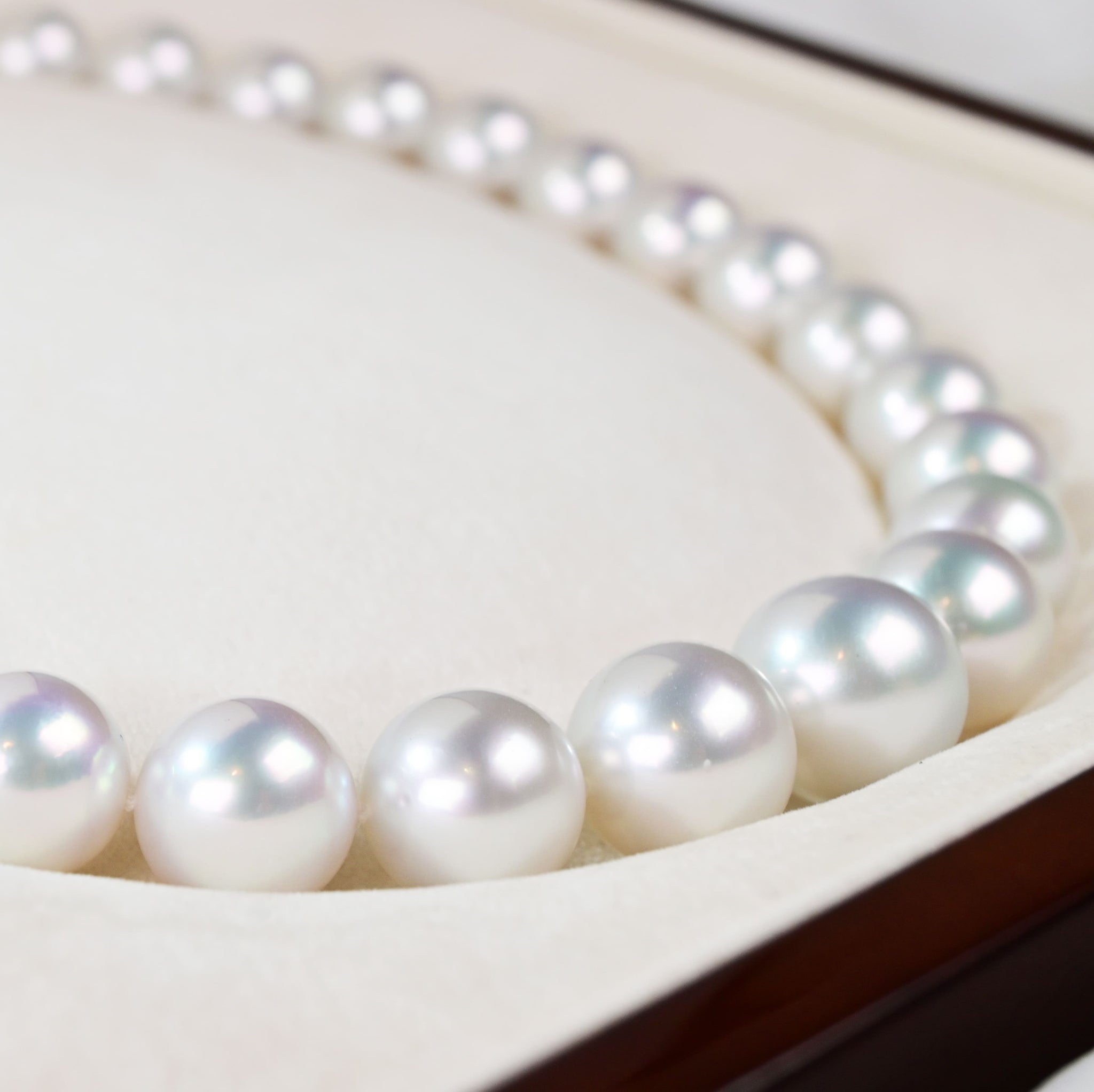 南洋珍珠項鍊 South Sea Pearl Strand